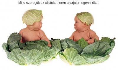 babak.jpg