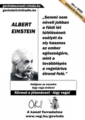 002_einstein_hun.jpg