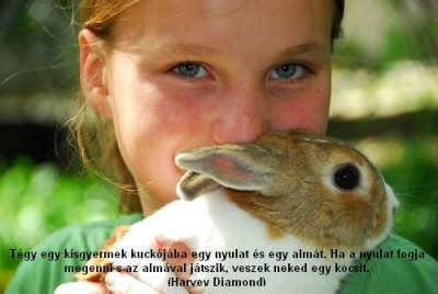 childwithbunny.jpg