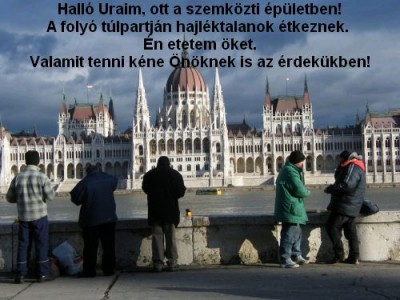 hajlektalanok.jpg