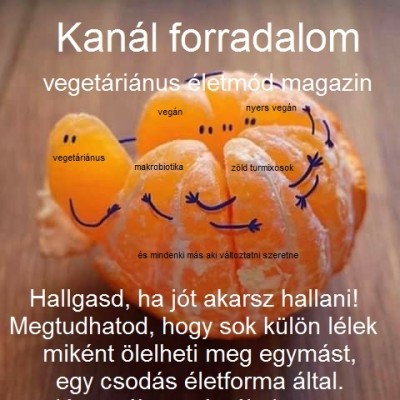kanál csoda beírt.jpg